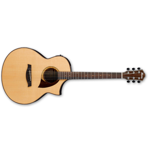 IBANEZ AEW22CD NT Elektro akustična kitara